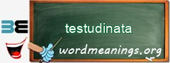 WordMeaning blackboard for testudinata